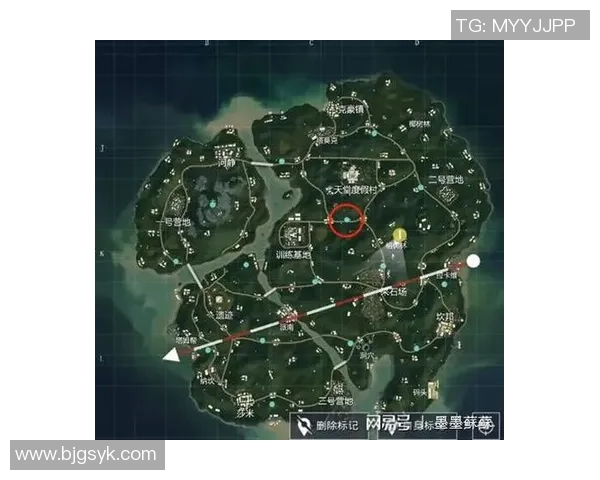 和平精英战术分析：IG战队如何巧妙运用区域防守策略MBA