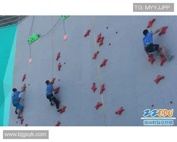 成都攀岩队创佳绩速度排名跃升全国前列引发关注